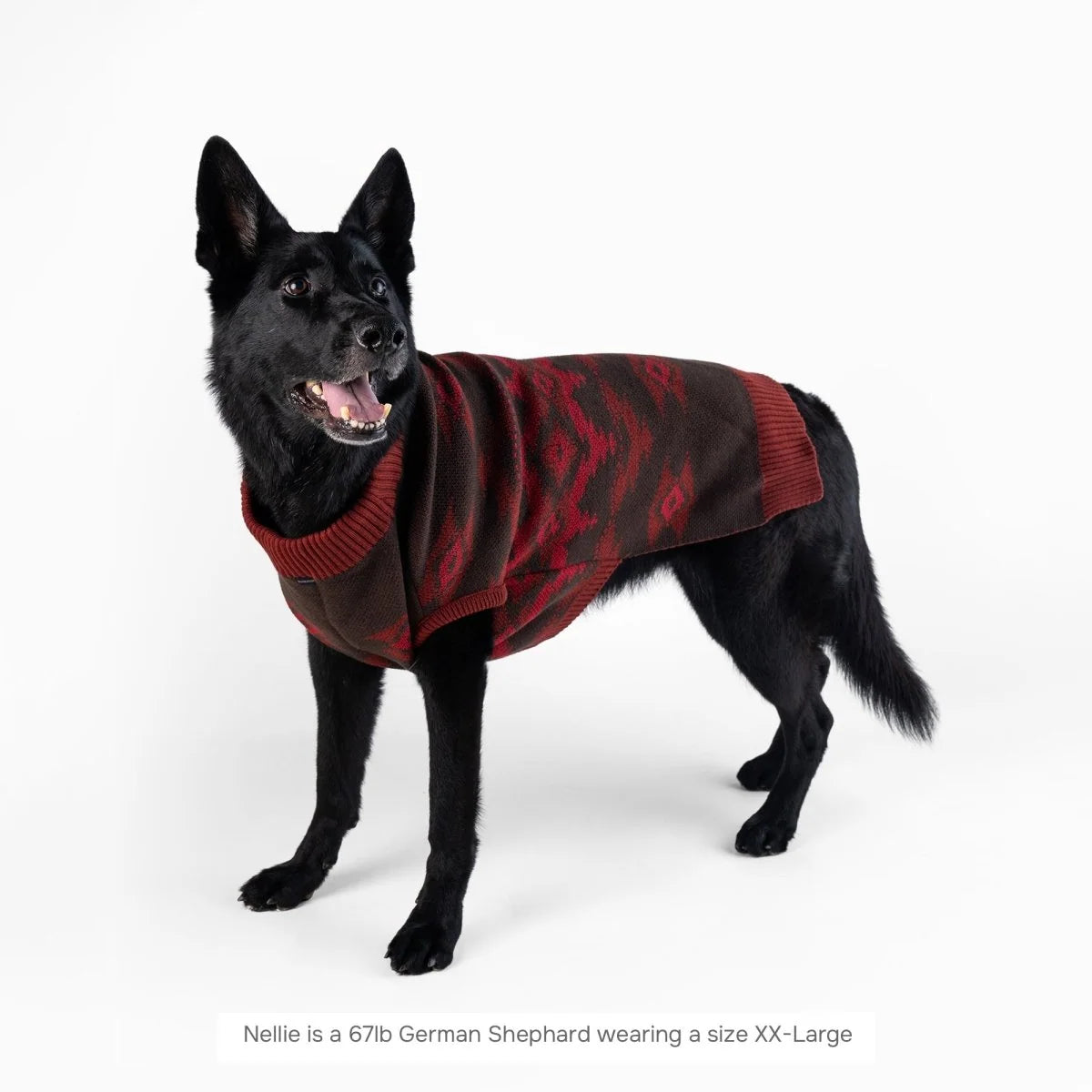 Carolina Pet Company - Pendleton Pet Sweater Crown