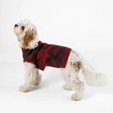Carolina Pet Company - Pendleton Pet Sweater Crown