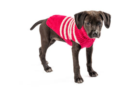 Chilly Dog - Dog Sweater Alpaca Katie Stripe