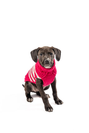 Chilly Dog - Dog Sweater Alpaca Katie Stripe