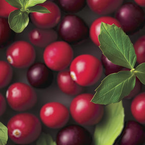 Yankee Candle - Wax Melt Cranberry Chutney