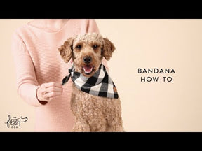 The Foggy Dog - Bandana Dog Pup, Pup, and Away Birthday