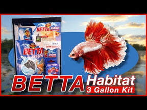 Zoo Med - Betta Habitat Kit