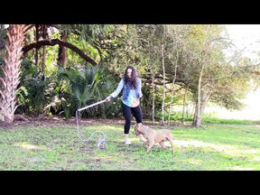 Squishy Face Studio - Flirt Pole V2 with Squeaker in Lure