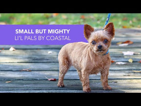 Coastal - Puppy Grooming Kit Li'l Pals