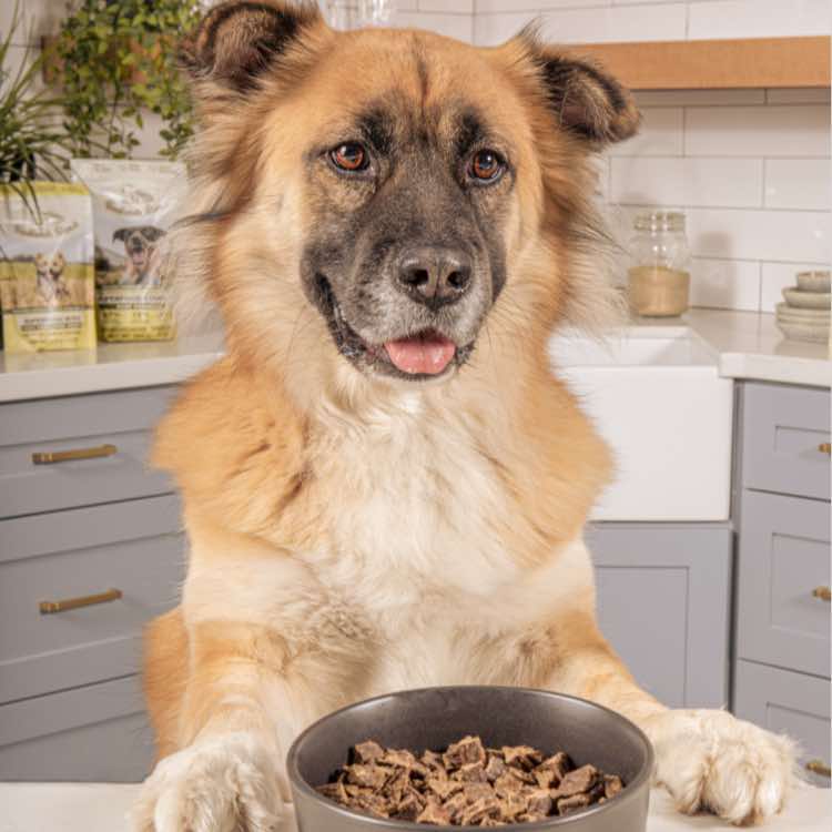 Badlands Ranch - Superfood Complete Beef Adult Gently Air Dried Dog Food - Southern Agriculture 