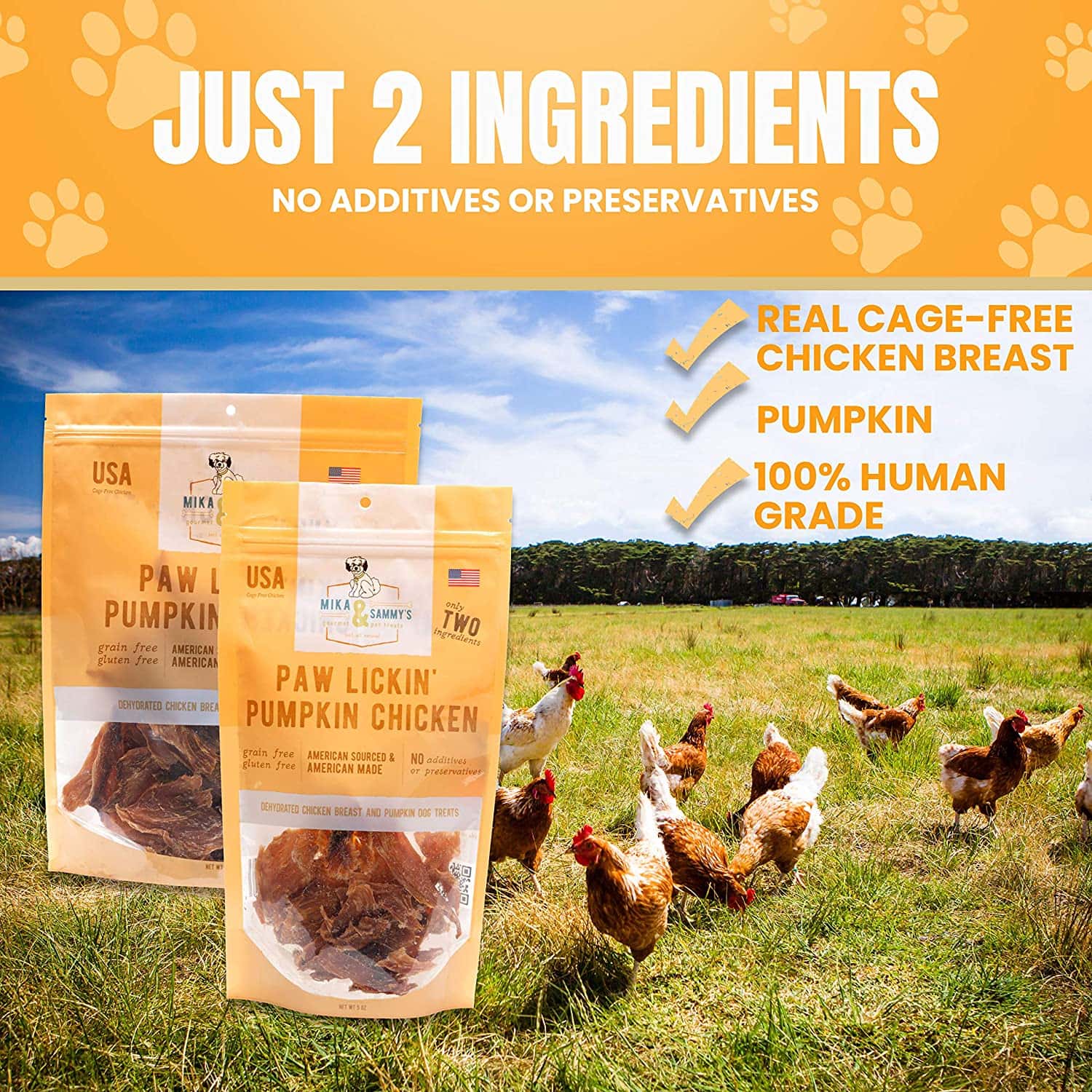 Mika & Sammy's - Paw Lickin' Pumpkin Chicken - Southern Agriculture 