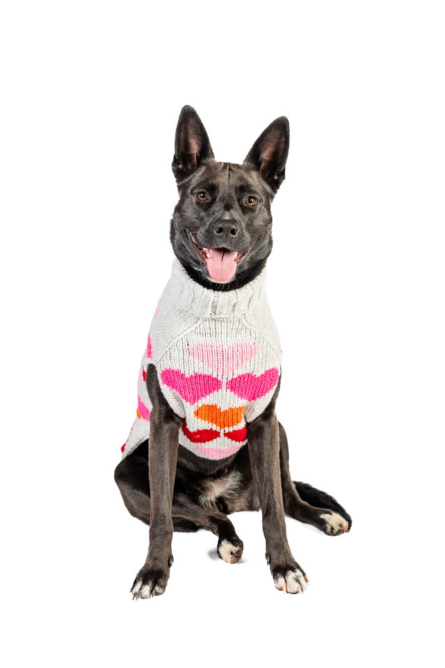 Chilly Dog - Dog Sweater Puppy Love Knit - Southern Agriculture 