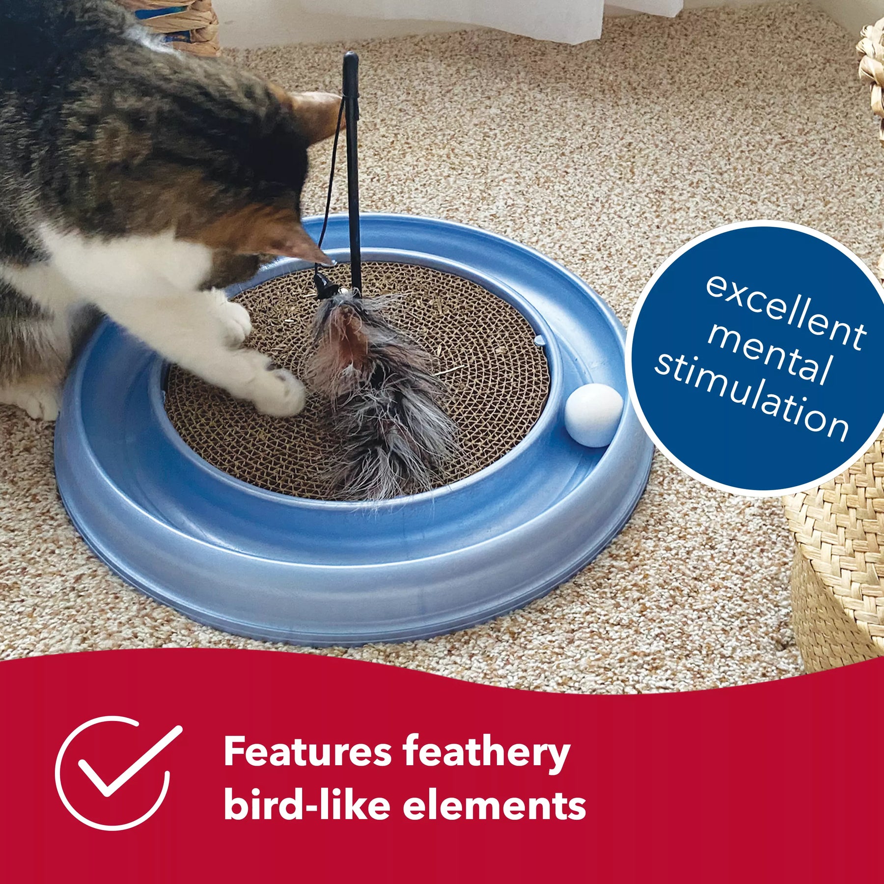 Bergan - Turbo Teaser Feather with Bell - Accessory for Turbo scratcher