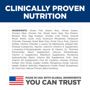 Hill's Science Diet - Kitten Ocean Fish & Brown Rice Cat Food Dry - Southern Agriculture 