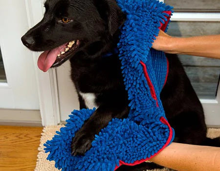 Soggy Doggy Doormat - Shammy Super