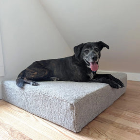Carolina Pet Company - Renewed Orthopedic Foam Square