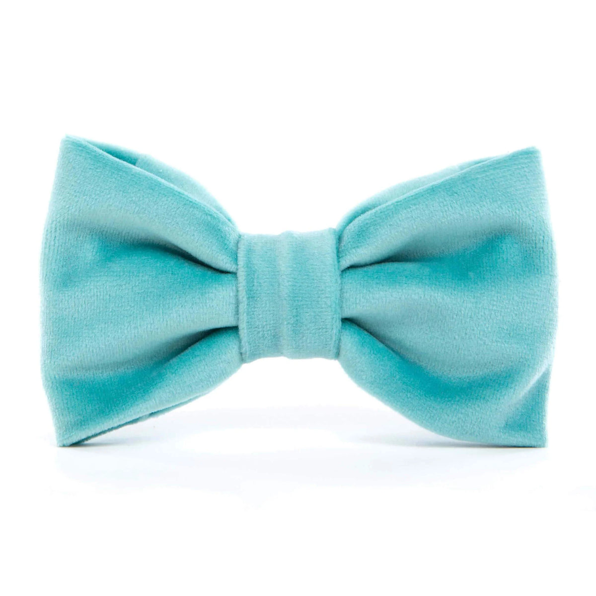 The Foggy Dog - Dog Bow Tie Robin's Egg Velvet