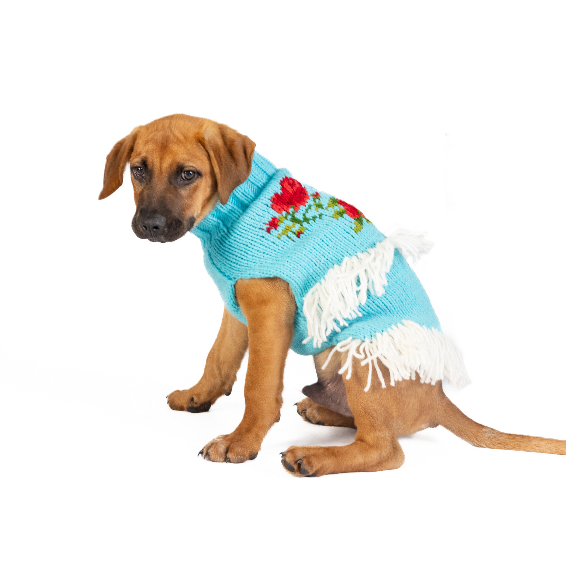Chilly Dog - Dog Sweater Rodeo