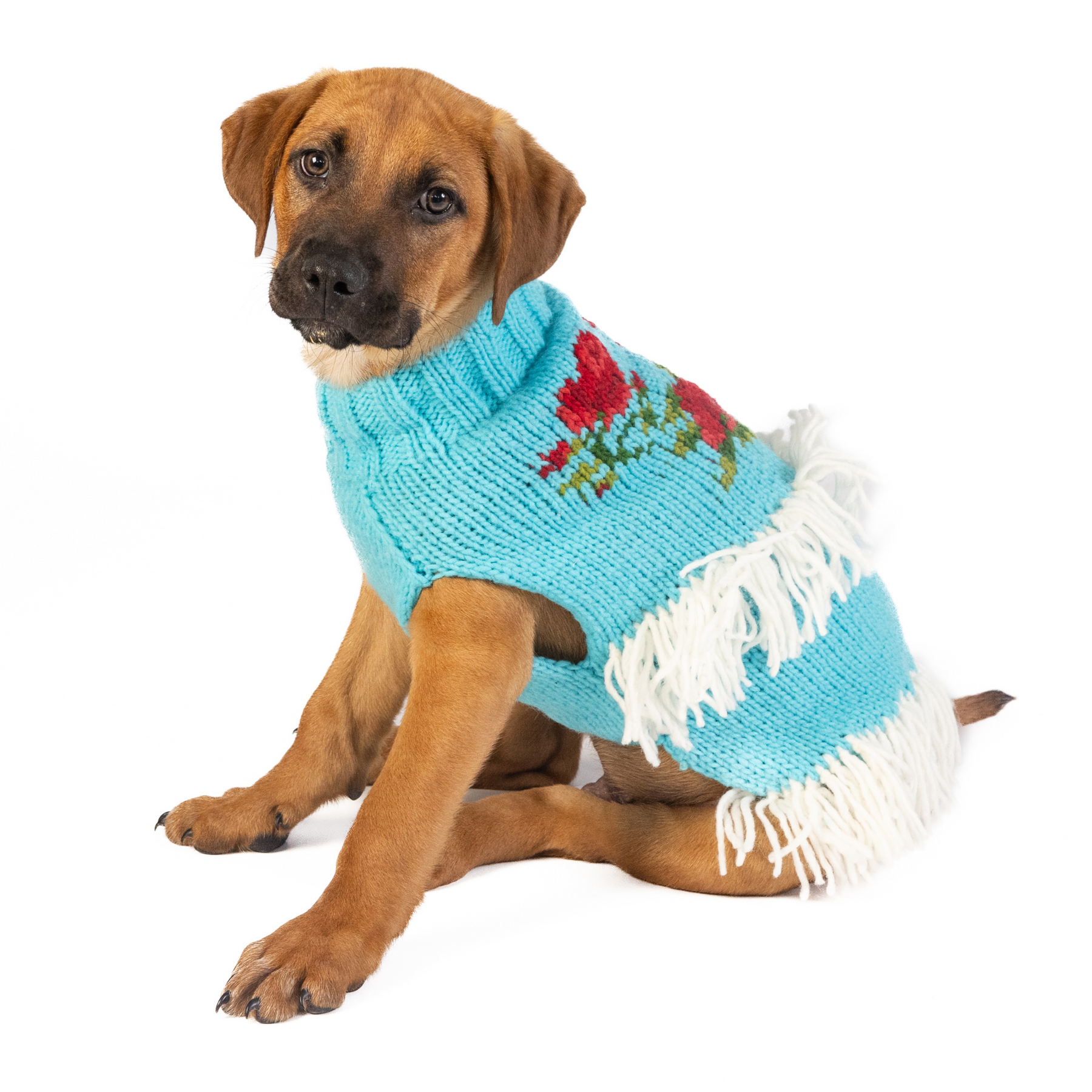 Chilly Dog - Dog Sweater Rodeo