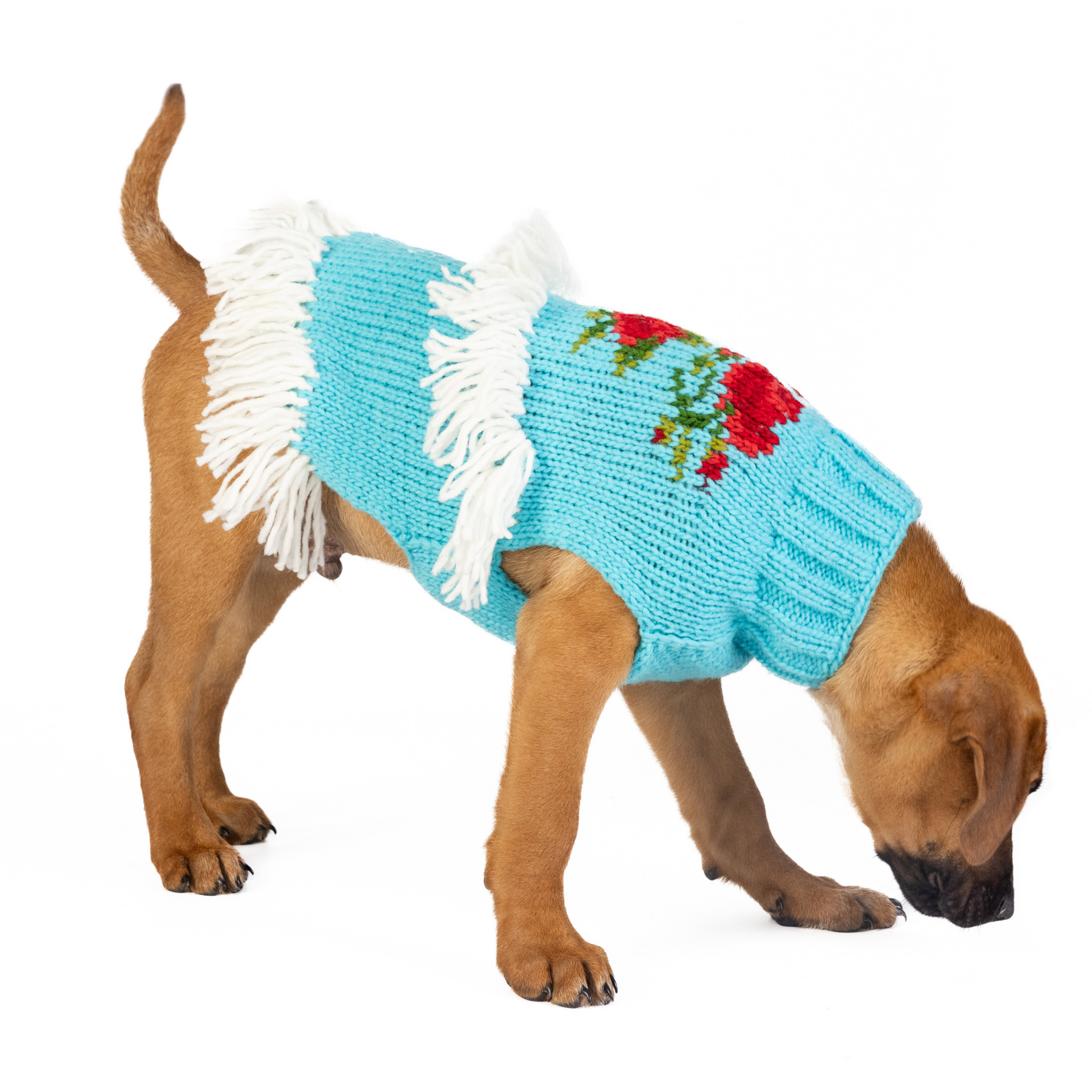Chilly Dog - Dog Sweater Rodeo
