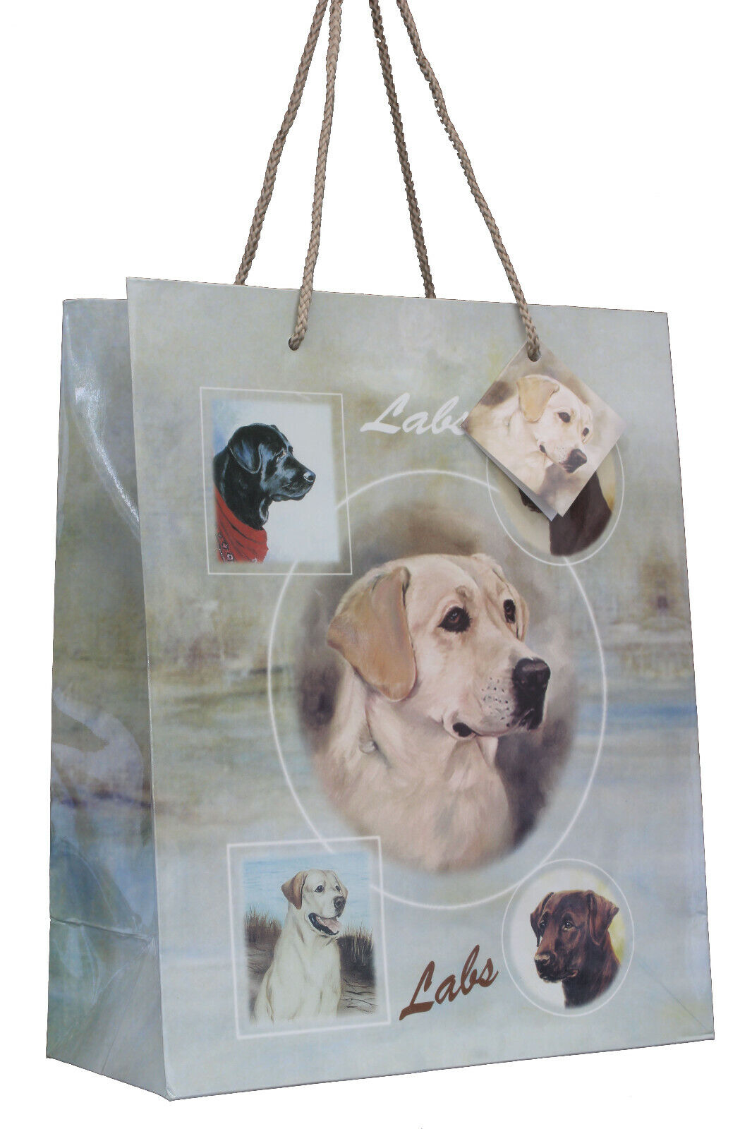 Best Friends By Ruth Maystead - Small Gift Bag