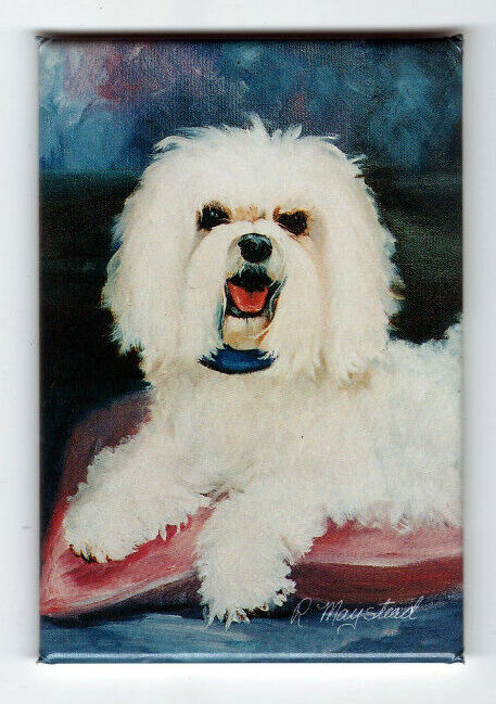 Best Friends By Ruth Maystead - Dog Night Lights by Ruth Maystead