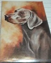 Best Friends By Ruth Maystead - Dog Night Lights by Ruth Maystead