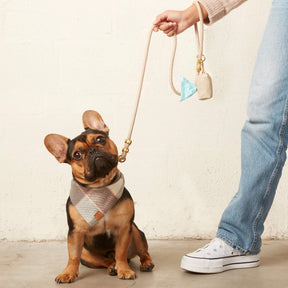 The Foggy Dog - Waste Bag Dispenser Flax