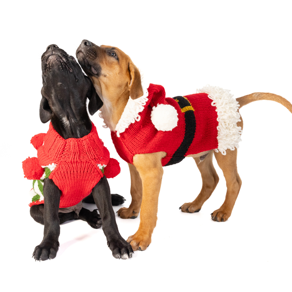 Chilly Dog - Dog Sweater Santa