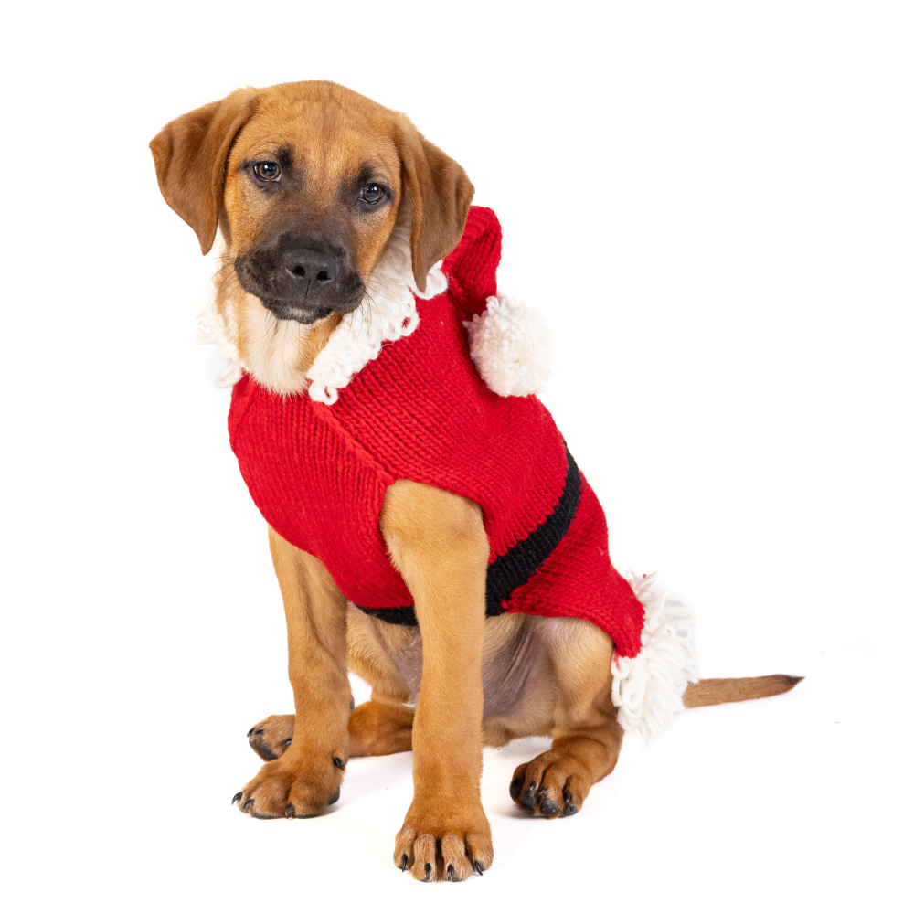 Chilly Dog - Dog Sweater Santa