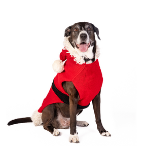 Chilly Dog - Dog Sweater Santa