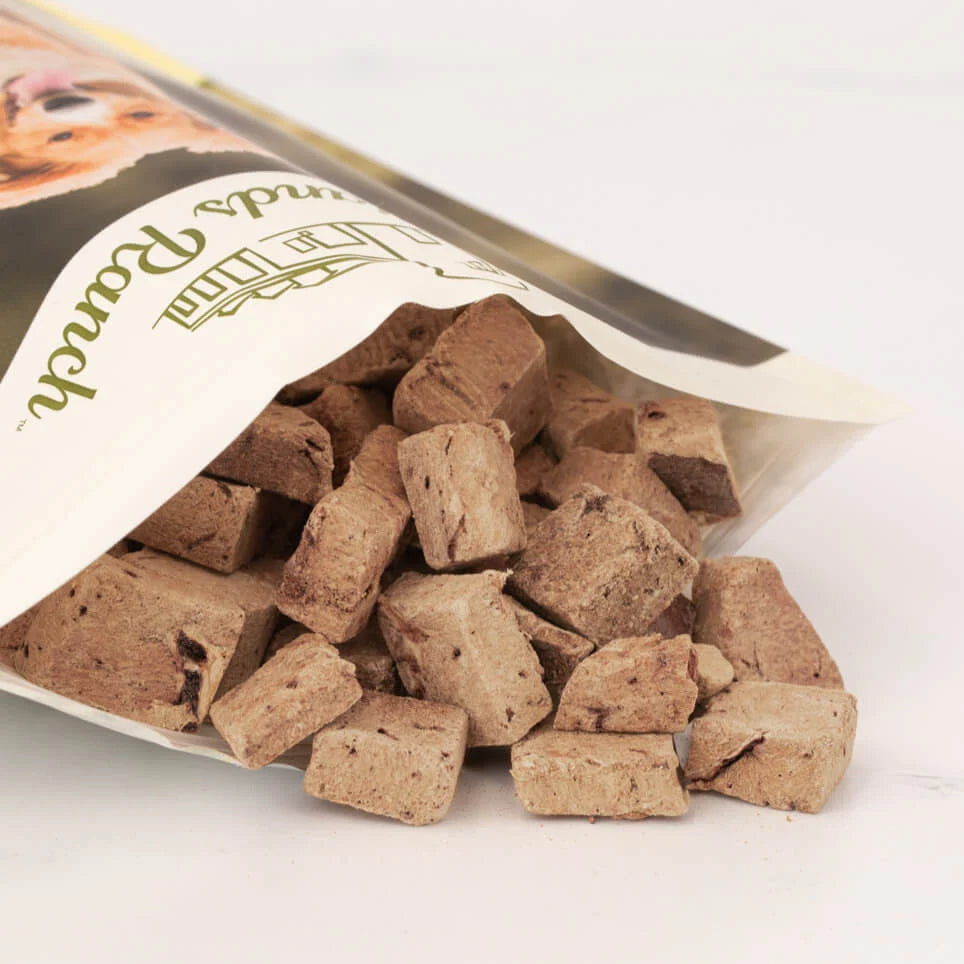 Badlands Ranch - Superfood Bites 100% Beef Liver Treats Freeze-Dried Raw