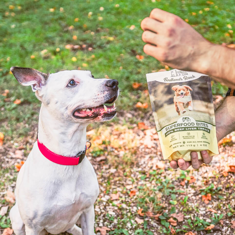 Badlands Ranch - Superfood Bites 100% Beef Liver Treats Freeze-Dried Raw