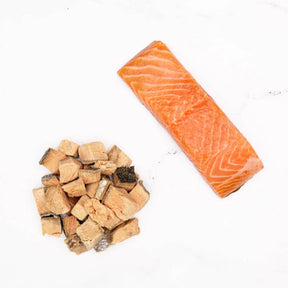 Badlands Ranch - Superfood Bites 100% Salmon Wild Treats Freeze-Dried Raw - Southern Agriculture 
