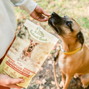 Badlands Ranch - Superfood Bites 100% Salmon Wild Treats Freeze-Dried Raw - Southern Agriculture 