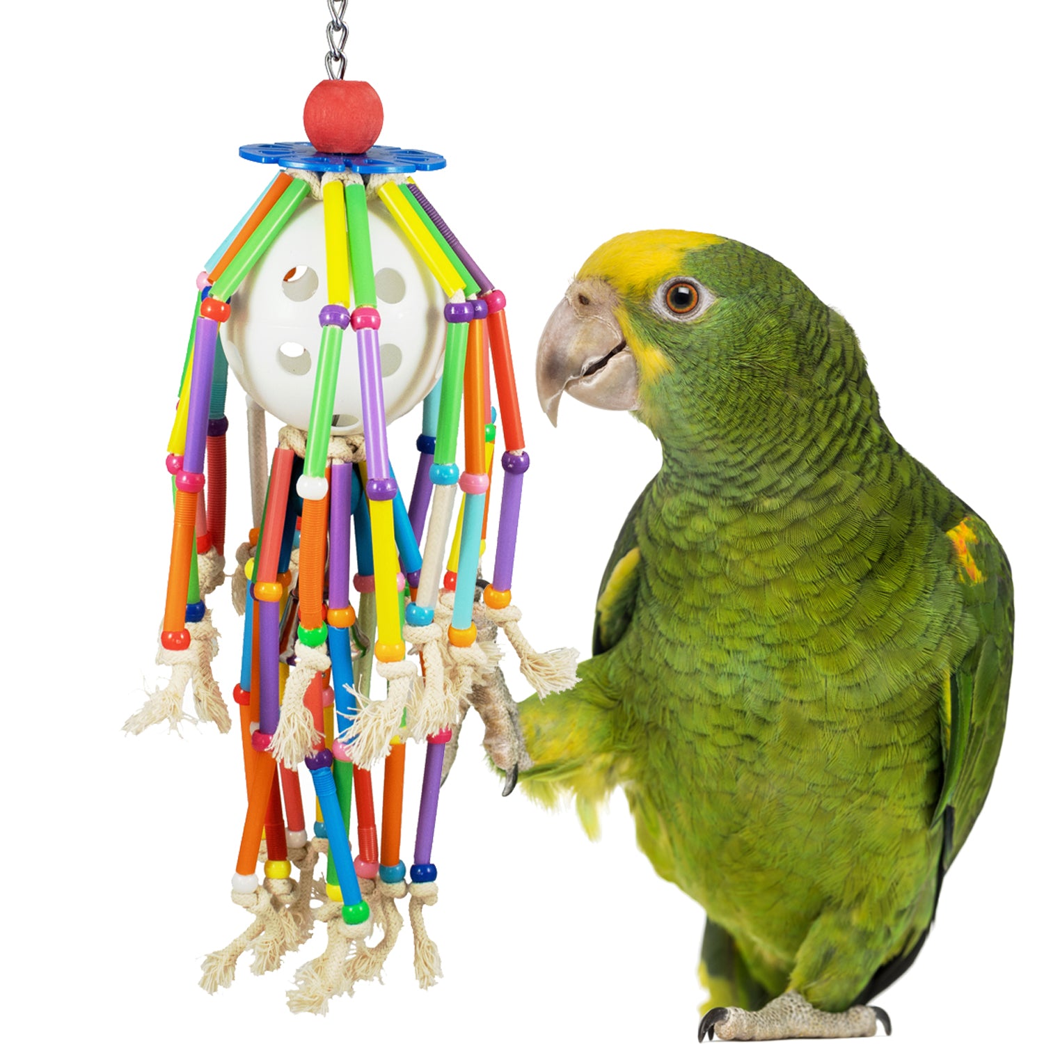 Super Bird Creations - Squiggy Bird Toy