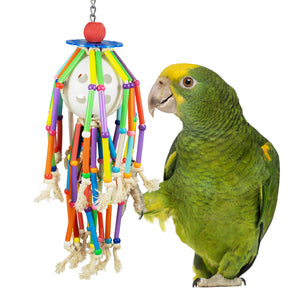 Super Bird Creations - Squiggy Bird Toy