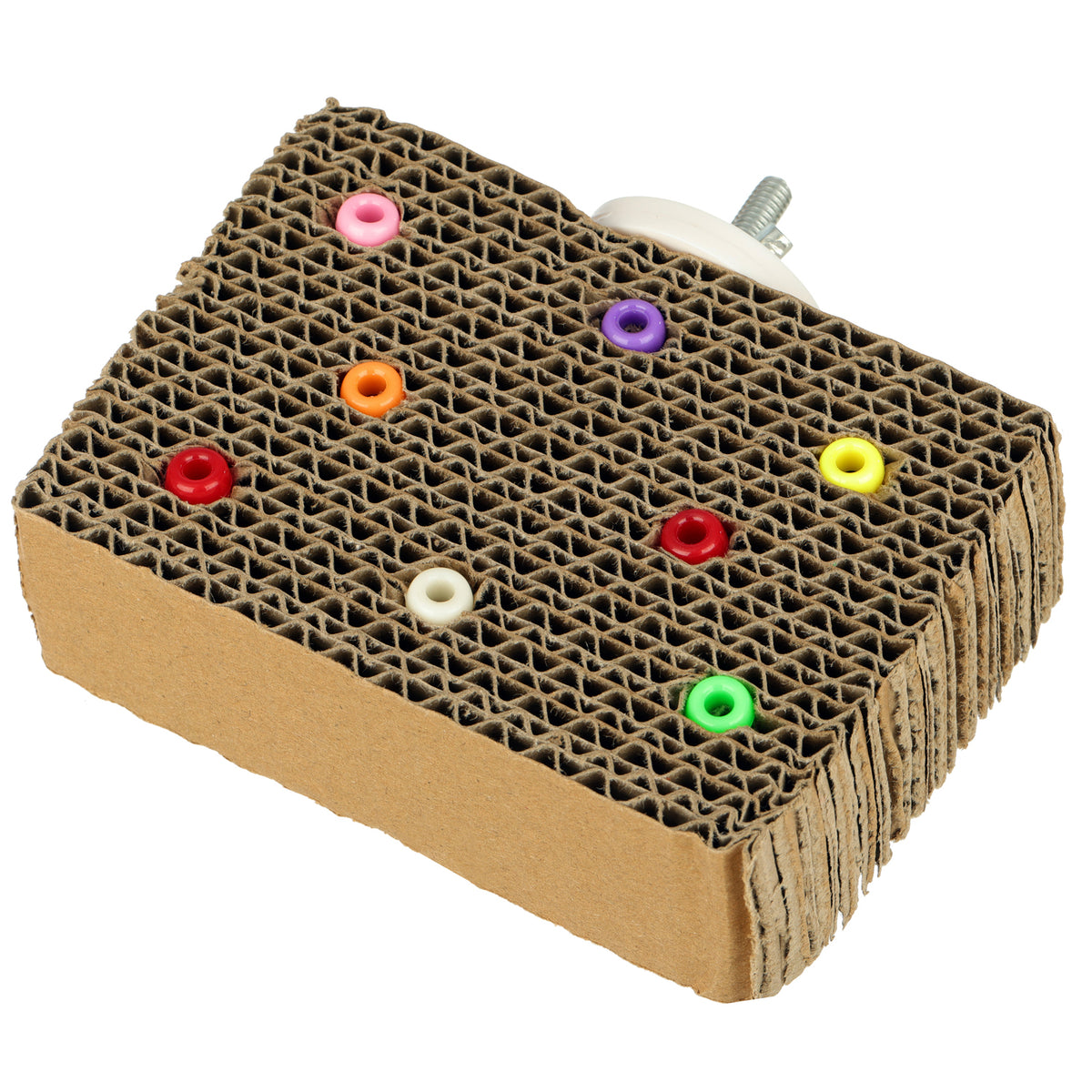 Super Bird Creations - Cardboard Treat Block Bird Toy