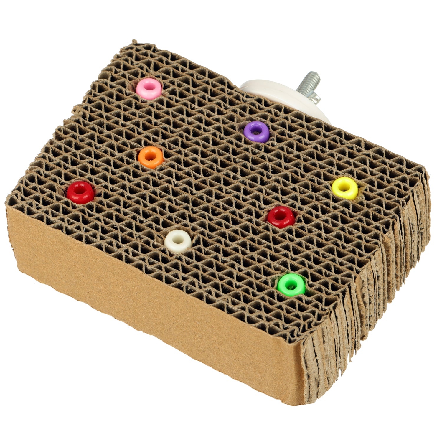 Super Bird Creations - Cardboard Treat Block Bird Toy