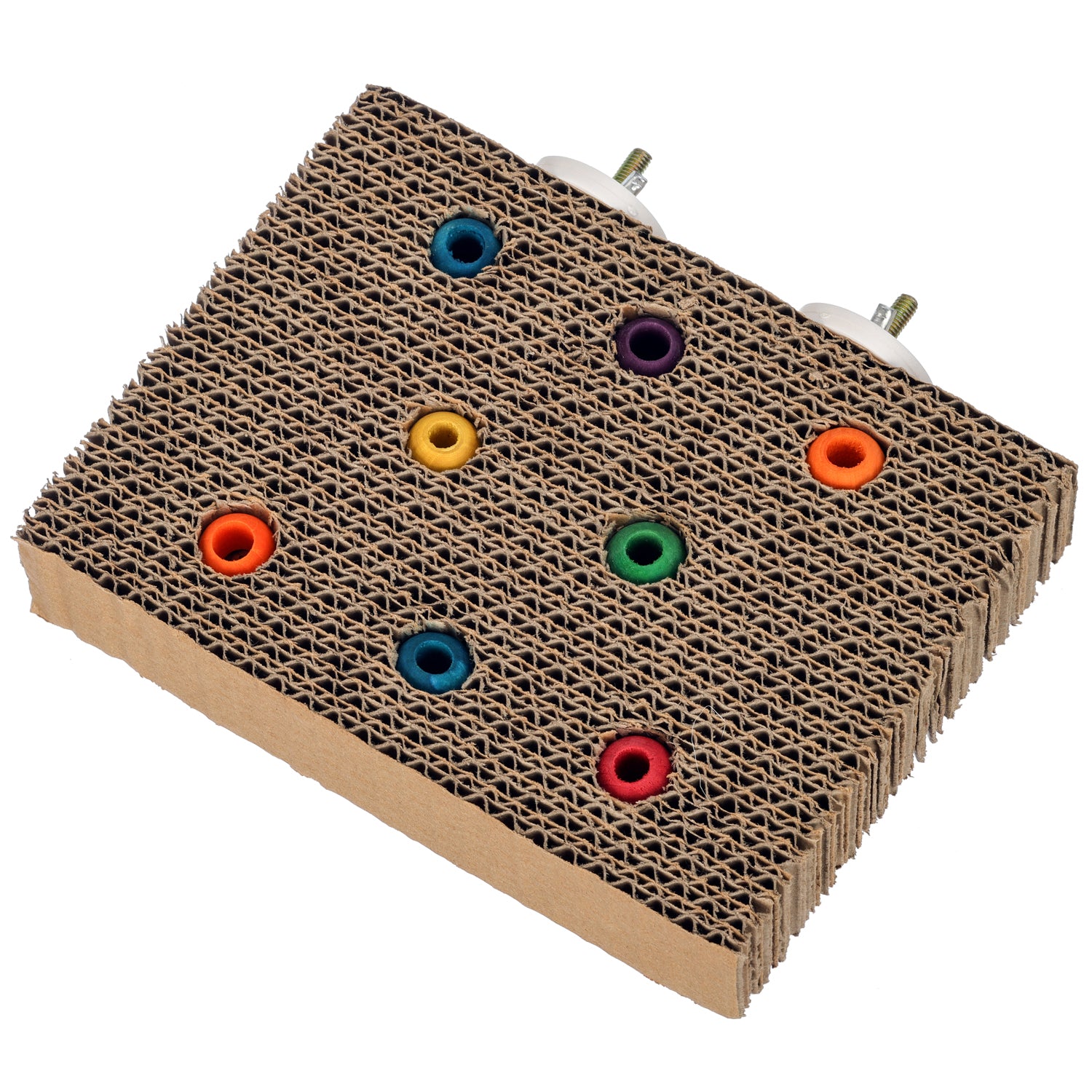 Super Bird Creations - Cardboard Treat Block Bird Toy