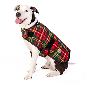 Chilly Dog - Dog Blanket Coat Scotty Plaid