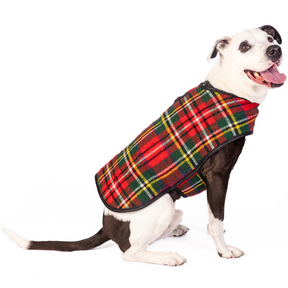 Chilly Dog - Dog Blanket Coat Scotty Plaid