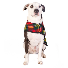 Chilly Dog - Dog Blanket Coat Scotty Plaid