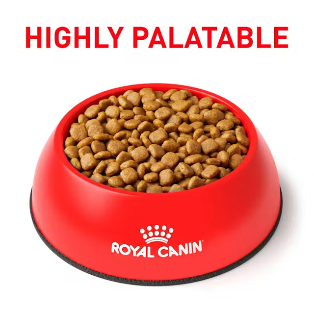 Royal Canin Veterinary Diet - Calm Dry Dog Food - Southern Agriculture 