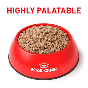 Royal Canin Veterinary Diet - Satiety Support (Weight) Loaf in Sauce Cat Can 5.1 oz