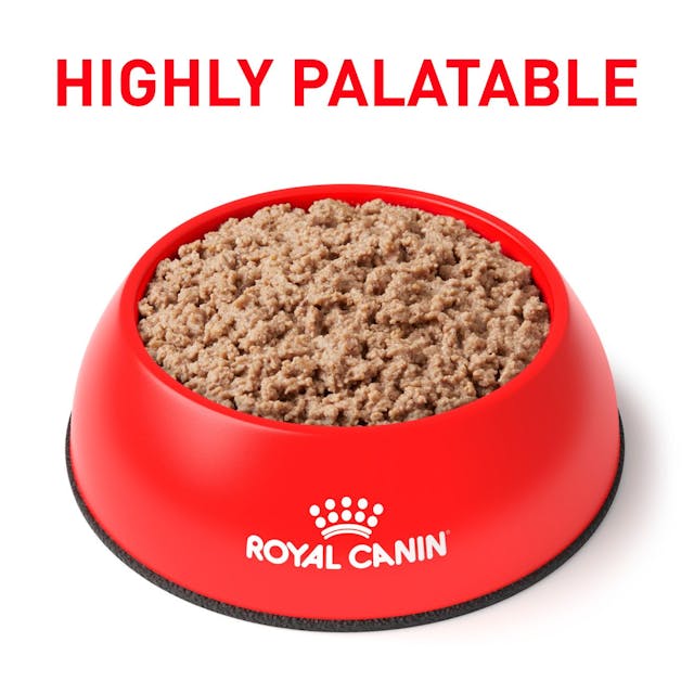 Royal Canin Veterinary Diet - Satiety Support (Weight) Loaf in Sauce Cat Can 5.1 oz