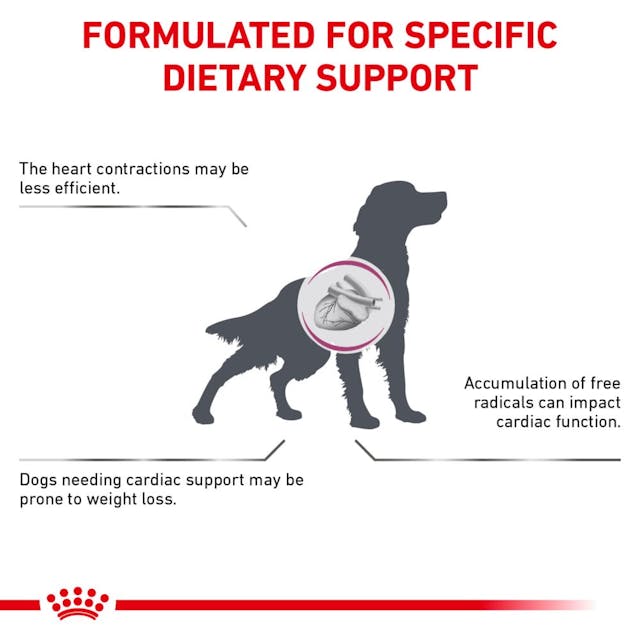 Royal Canin Veterinary Diet - Renal Support "D", "Delectable" Canned Dog Food - Southern Agriculture 