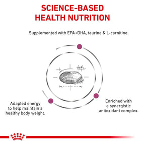 Royal Canin Veterinary Diet - Renal Support "D", "Delectable" Canned Dog Food - Southern Agriculture 