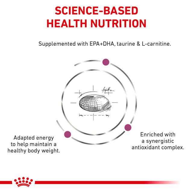 Royal Canin Veterinary Diet - Renal Support "D", "Delectable" Canned Dog Food - Southern Agriculture 