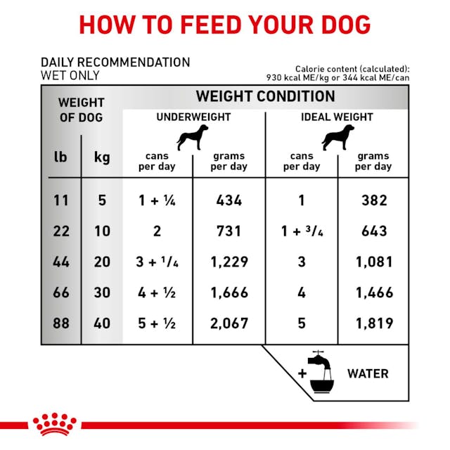 Royal Canin Veterinary Diet - Renal Support "D", "Delectable" Canned Dog Food - Southern Agriculture 