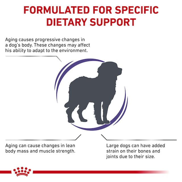 Royal Canin Veterinary Diet - Mature Consult Large Dog Dry - Southern Agriculture 