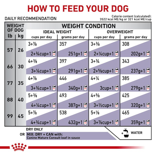 Royal Canin Veterinary Diet - Mature Consult Large Dog Dry - Southern Agriculture 