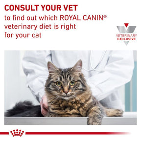 Royal Canin Veterinary Diet - Satiety Support (Weight) Loaf in Sauce Cat Can 5.1 oz