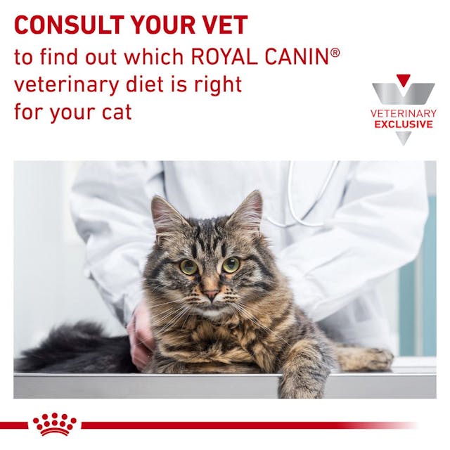 Royal Canin Veterinary Diet - Satiety Support (Weight) Loaf in Sauce Cat Can 5.1 oz